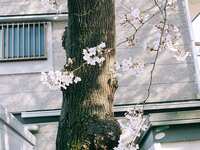 https://images.plurk.com/6bPTsAfRwZEzaSoEoMXFUg.jpg
