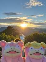 https://images.plurk.com/6bQRto4kzmbhMjFeDS04gy.jpg