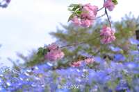 https://images.plurk.com/6bRymXNzkUmfMwZvIIgSQO.jpg