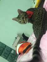 https://images.plurk.com/6bWFIttcG57bkcg8lG2lPa.jpg