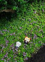 https://images.plurk.com/6bdtzdebhPjdXEWdfxxqhJ.jpg