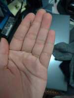 https://images.plurk.com/6bg8hk3UFNHI2JW9yNLGys.jpg