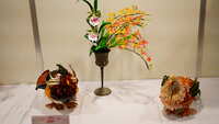 https://images.plurk.com/6bsLYzabyKHymKeRbgKfpv.jpg