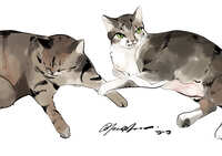 https://images.plurk.com/6bxAFp5nVxxFcgaqcQ0PTI.jpg