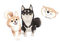 https://images.plurk.com/6c0lLKPgVbThm9kqXXK4Ye.jpg