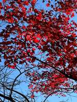 https://images.plurk.com/6c19OjMTzkCXK18cwgO8AW.jpg