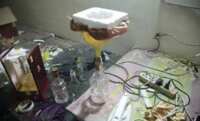 https://images.plurk.com/6c6kKTGjDrUKMDxhMS5gEb.png
