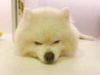 https://images.plurk.com/6c9K2PS8PnwBWUUta9Kj94.jpg