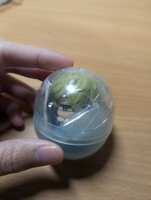 https://images.plurk.com/6c9Tdv7FO5RHnHnOWV0GHg.jpg