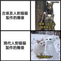 https://images.plurk.com/6cIe41rfK4MyD8wDuICJqC.jpg