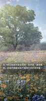 https://images.plurk.com/6cJlWgHDZTuVni7I7c4YSS.png