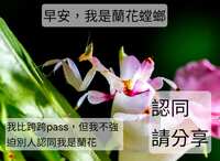 https://images.plurk.com/6cLZ48Ct8VSOaohSTphewG.jpg