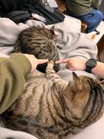 https://images.plurk.com/6cNsGjaM6N0E5ZF74kCr8w.jpg
