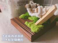 https://images.plurk.com/6cdZWbTyaFDsmWAD3tPtw0.jpg