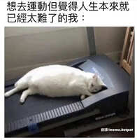 https://images.plurk.com/6cgf04Afu1c1ZYPgD8L6Qg.jpg