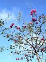 https://images.plurk.com/6chCWSRwXCzt2TWjPmcX02.jpg