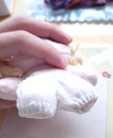 https://images.plurk.com/6cjKevdjsZRy45LLMYZfxz.jpg