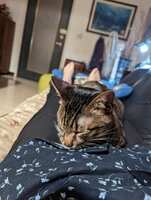 https://images.plurk.com/6cmLG1gmnsoMi6kKzokg8I.jpg