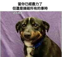 https://images.plurk.com/6ct1wHJcq6zyjNKNt8gI3U.jpg