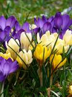https://images.plurk.com/6cxLmrlXdPZkfwFhHrHx3y.png