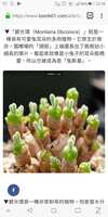 https://images.plurk.com/6cywB6xArc1oUXNQXeNg0q.jpg