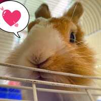 https://images.plurk.com/6d4GBeeZeCr0cypoNtIjCu.jpg