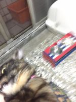 https://images.plurk.com/6d7IG50eSrEWKeddmfRHHW.jpg