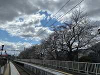https://images.plurk.com/6dAWh06mCrtrCoF71MgMmY.jpg