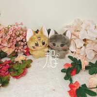 https://images.plurk.com/6dBsA5j31cUiiouyxBBrcq.jpg