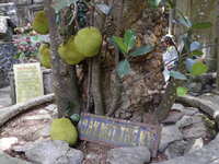 https://images.plurk.com/6dFwKcfCwdn5WQcSODkgUC.jpg