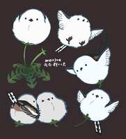 https://images.plurk.com/6dIE9BgPpy7sr4mXSeMO1j.jpg