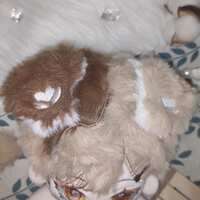 https://images.plurk.com/6dLA93zUVjDX54Gf95P6VH.jpg
