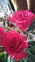 https://images.plurk.com/6dND5KykiYq0zl7rXe1PXr.jpg