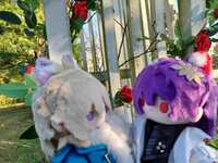 https://images.plurk.com/6dcCXUrEpRRCif4LA5i2Id.jpg