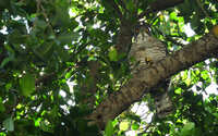 https://images.plurk.com/6de6R7MqsgAZrBfSqvaxUv.jpg