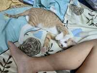 https://images.plurk.com/6dgb533v6nSeeQZAZNCfCL.jpg
