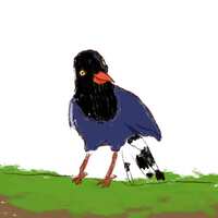 https://images.plurk.com/6dmgDQt7omnSAkLEoN2YT8.jpg