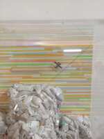 https://images.plurk.com/6duotuW0L30BnRs5dYkusq.jpg