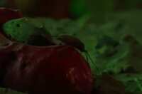 https://images.plurk.com/6dwvpA5q8O05TBZfAUBRRl.jpg