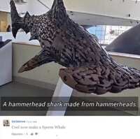 https://images.plurk.com/6dyP5mk994mf5UinfBwOaW.jpg