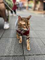 https://images.plurk.com/6e14rNart6hOXwsDGX5JX2.jpg