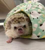 https://images.plurk.com/6e4prXQvPdAY8sE5A7oYcl.jpg