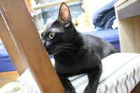 https://images.plurk.com/6e7Ri1c7A8bShCbpRzxDII.jpg