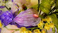 https://images.plurk.com/6e9eB6xw1MXJAR0NrgvThu.jpg
