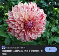 https://images.plurk.com/6eHYDP1GD9qtZSb8w5bQZB.jpg