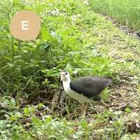 https://images.plurk.com/6eMZAuPzyTLeFa9kkXXh9g.png