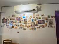 https://images.plurk.com/6eNYJjQd8tK9CkW34jiEQu.jpg
