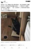 https://images.plurk.com/6ekGxMmG4xc80ZgDoaD9KY.png
