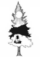 https://images.plurk.com/6elt0z7AXiQ7XJtsXv9Wt.png