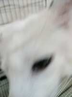https://images.plurk.com/6enUS4YWvSxuj9pPETuPTR.jpg